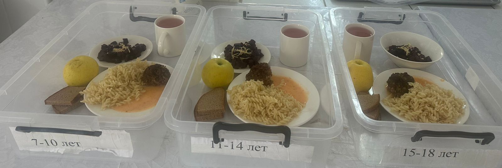 Мәзір 13.12.2024 / Меню на 13.12.2024