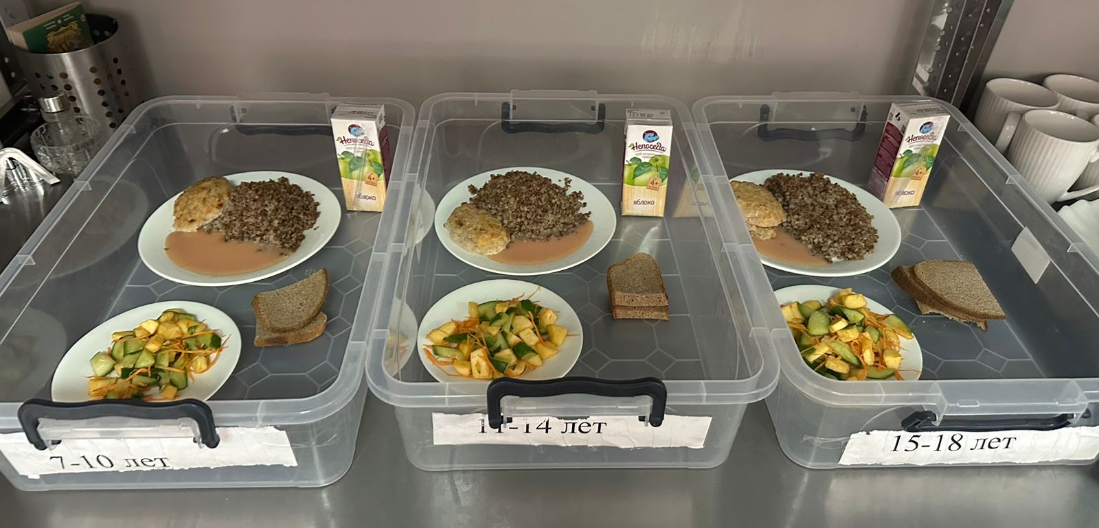 Мәзір 12.02.2025 / Меню на 12.02.2025