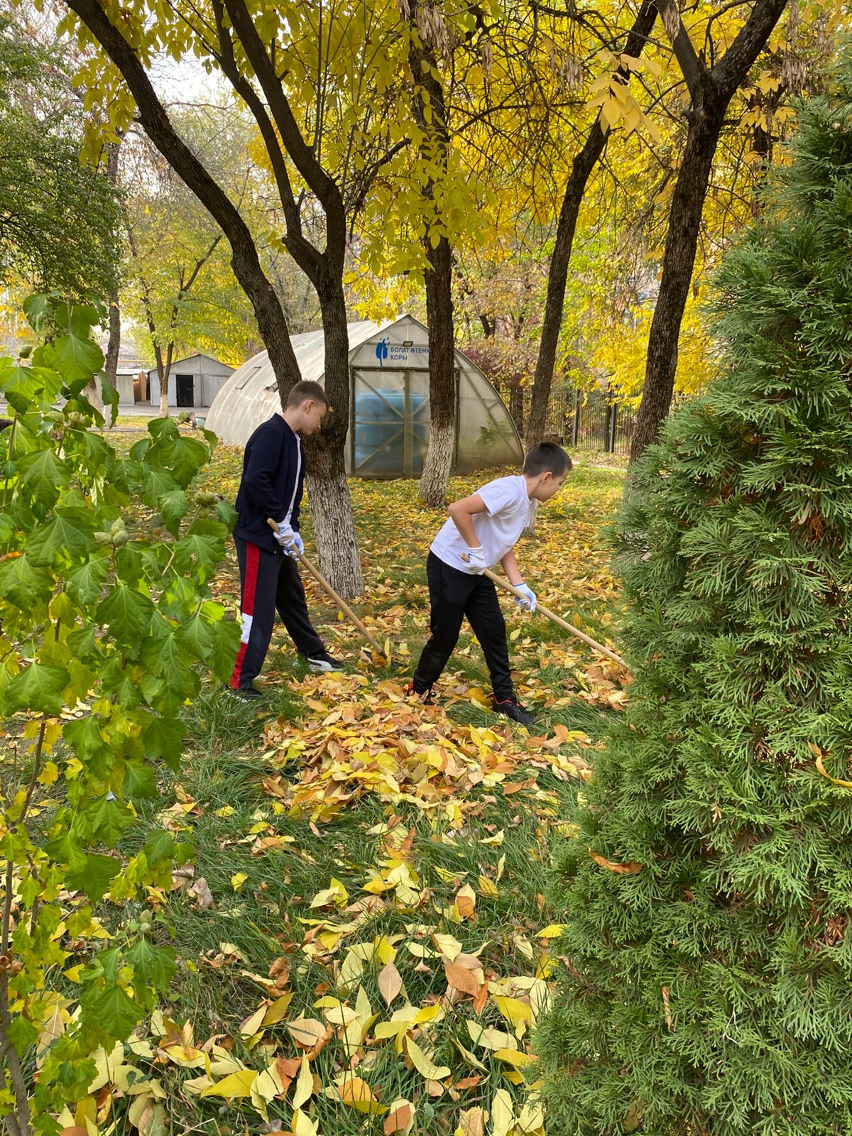 «Таза Қазақстан» бағдарламасы аясында сенбілік