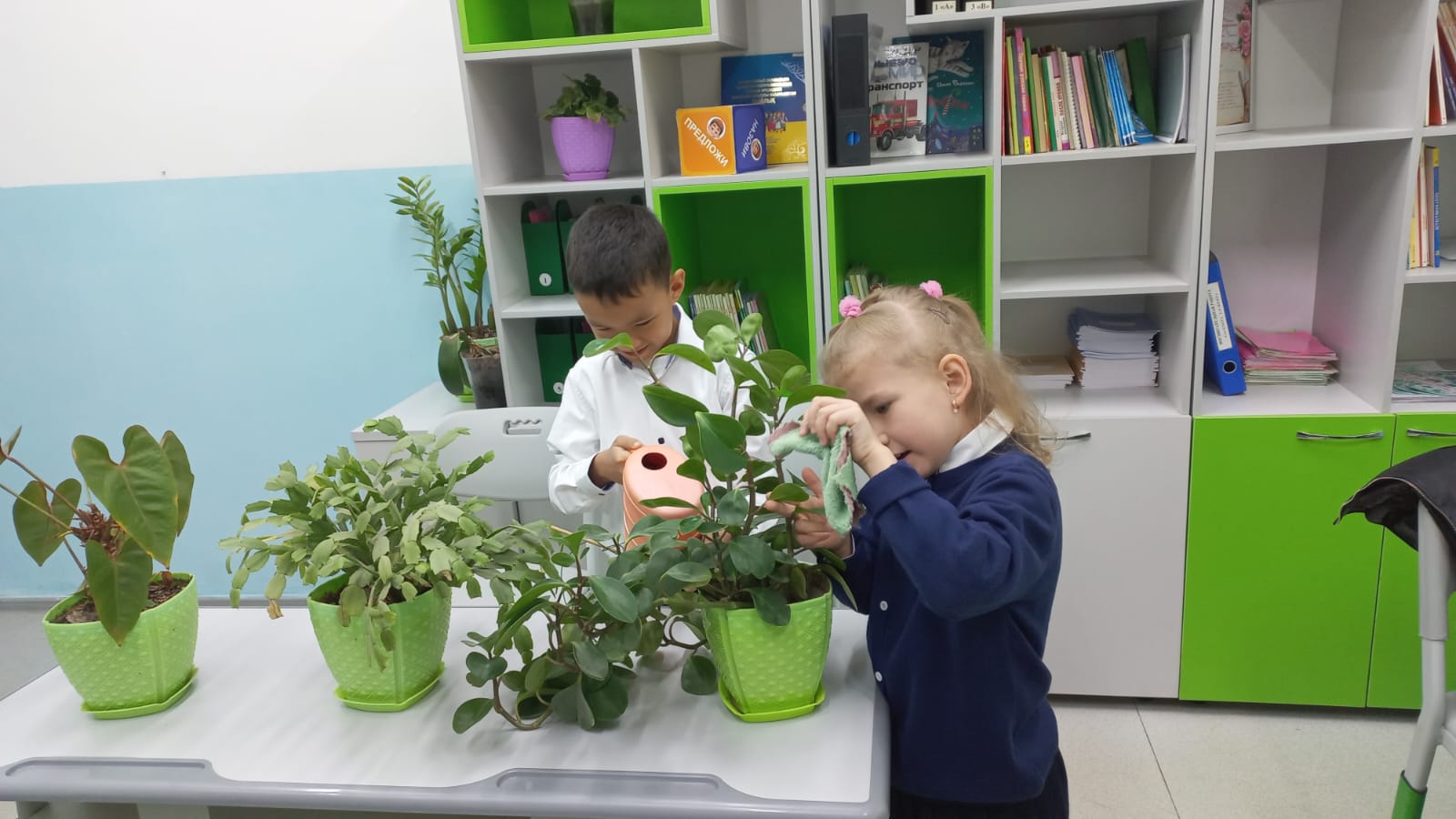 «Алматы – таза қала» бағдарламасы / Программа: «Алматы – чистый город»